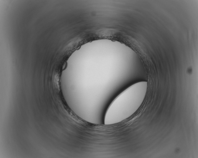 X0000097470575200802220832