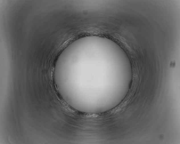 X0000097470576200802220832