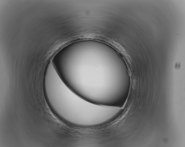 X0000097470577200802220831