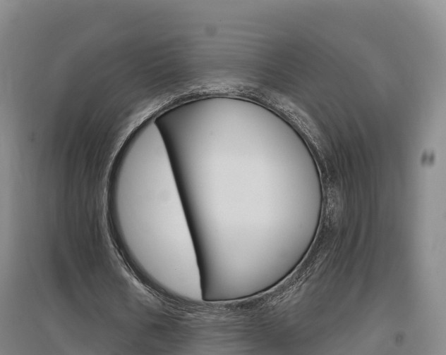 X0000097470578200802220831