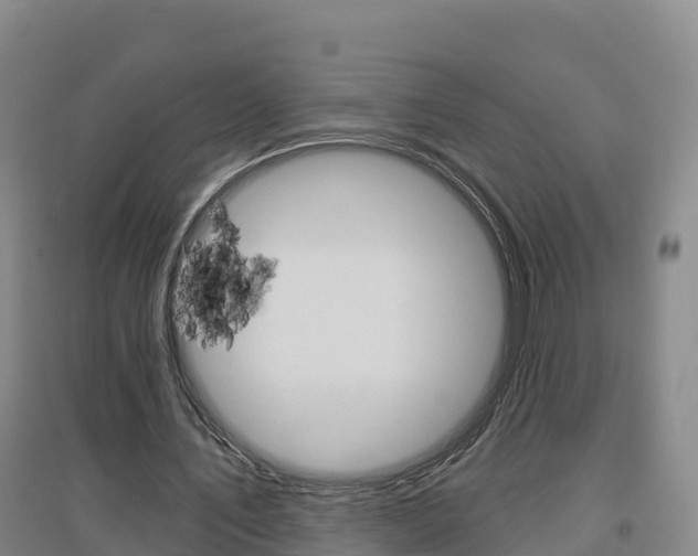 X0000097470579200802220831