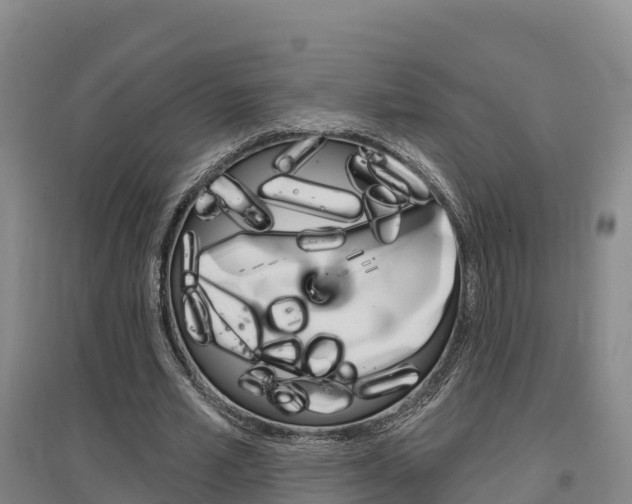 X0000097470581200802220831