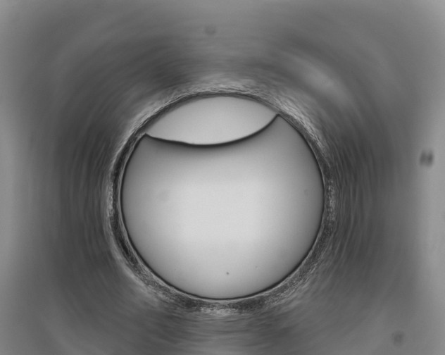 X0000097470582200802220831