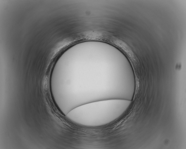 X0000097470583200802220831