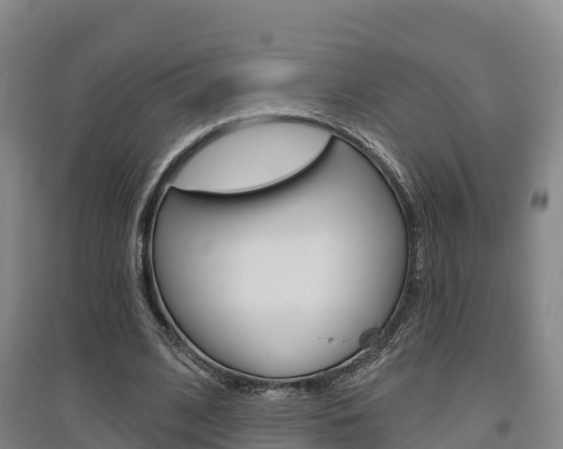 X0000097470584200802220831