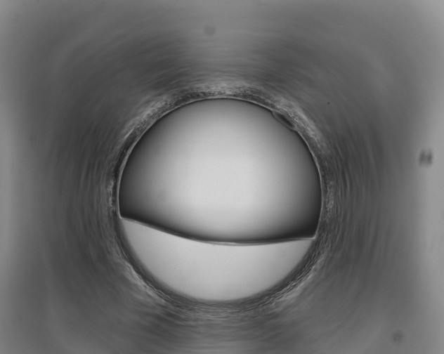 X0000097470585200802220831