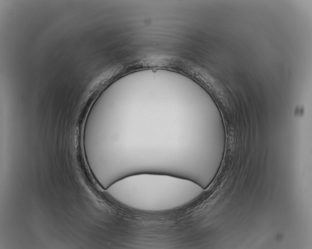 X0000097470586200802220831