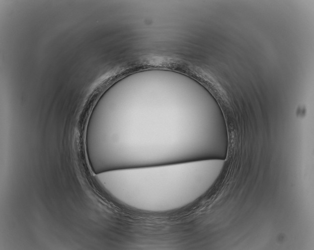 X0000097470587200802220831