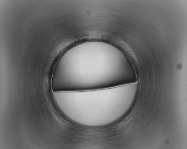 X0000097470588200802220831