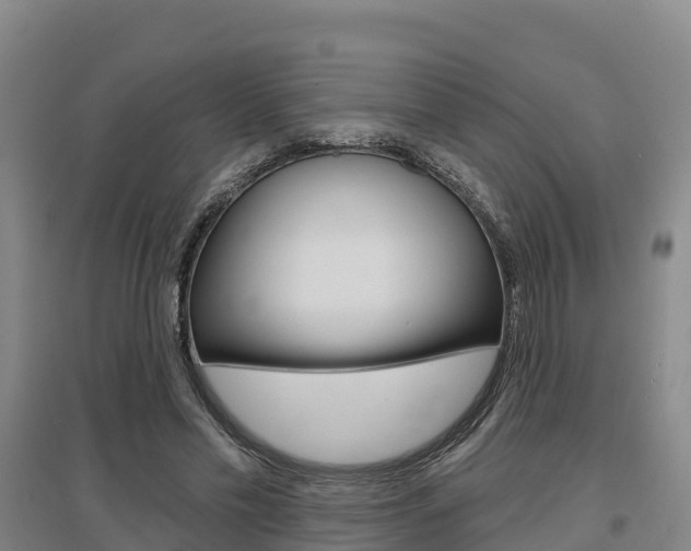 X0000097470589200802220831