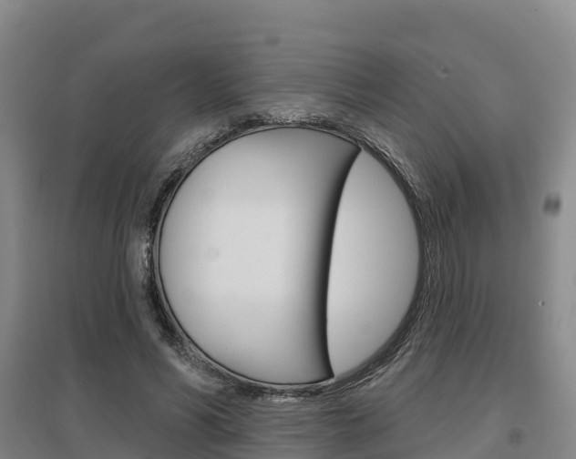 X0000097470590200802220831