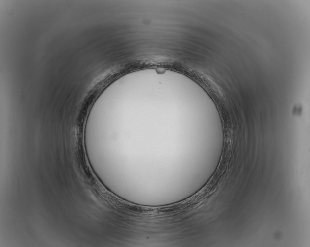 X0000097470591200802220831