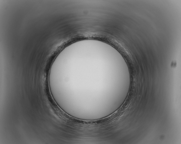 X0000097470592200802220831