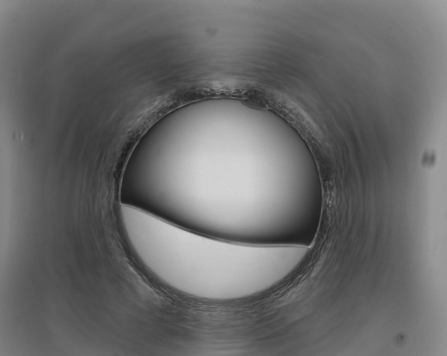 X0000097470593200802220831