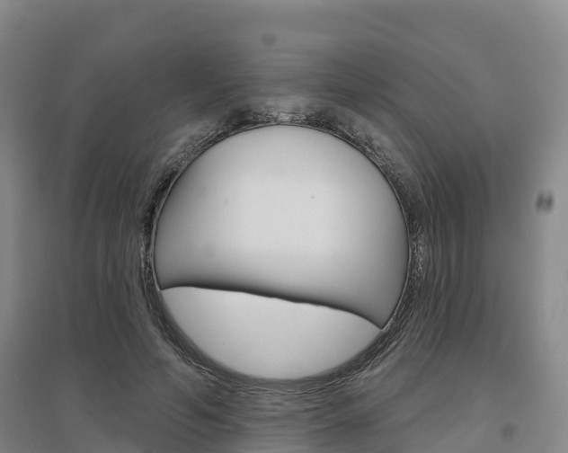 X0000097470594200802220831