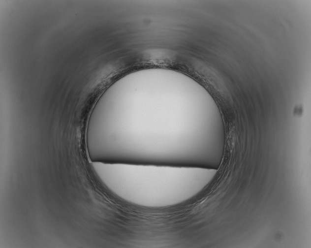 X0000097470595200802220831