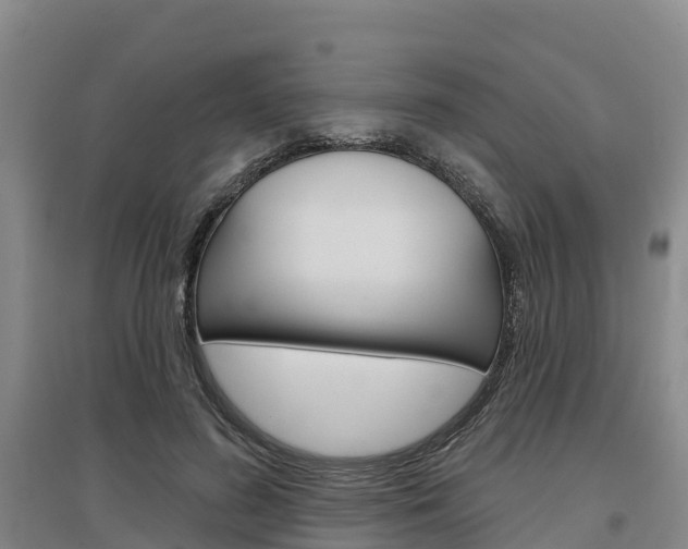 X0000097470596200802220831