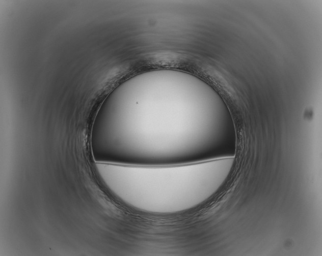 X0000097470597200802220831