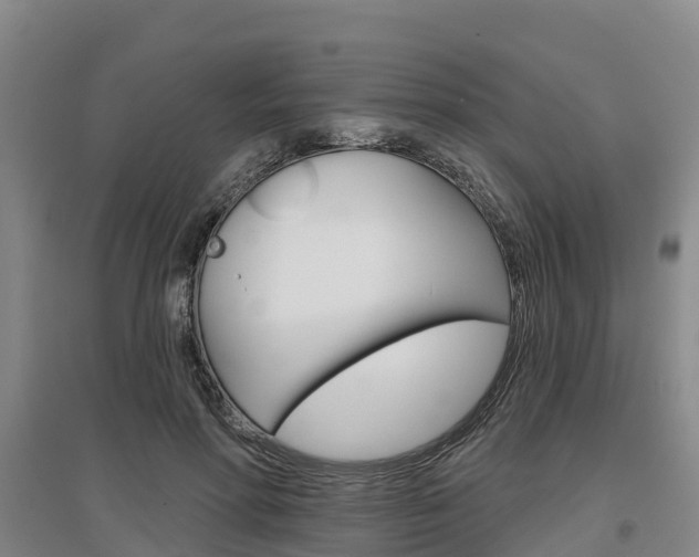 X0000097470598200802220831