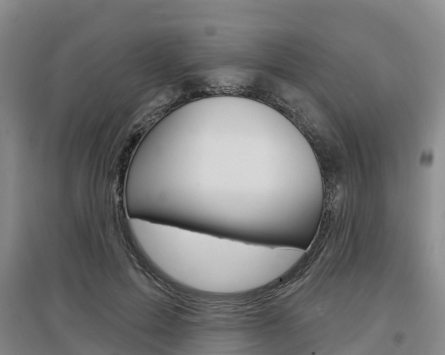 X0000097470599200802220831