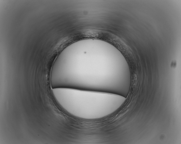 X0000097470600200802220831