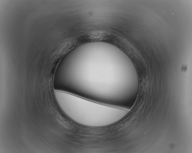 X0000097470601200802220831