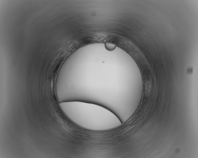 X0000097470602200802220831