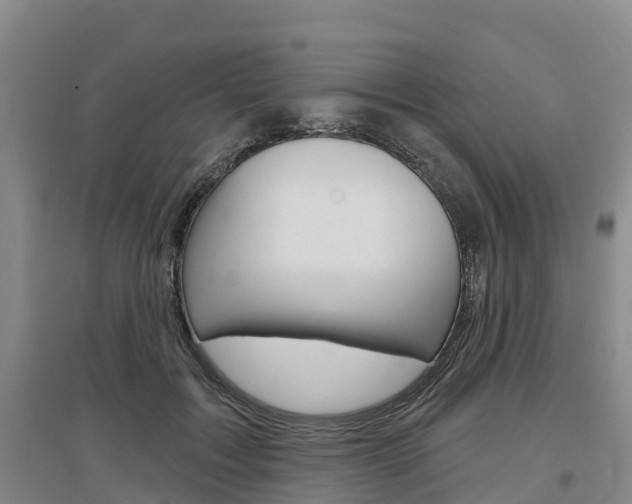 X0000097470603200802220831