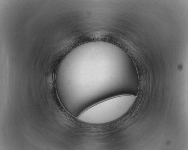 X0000097470605200802220830