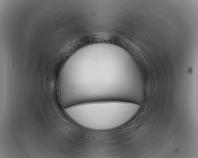 X0000097470608200802220830
