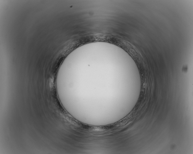 X0000097470610200802220830