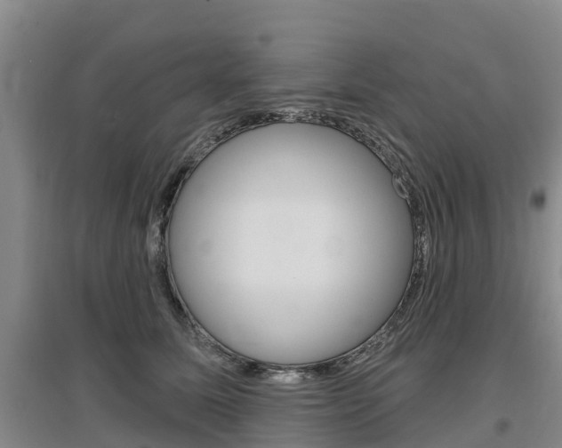 X0000097470611200802220830