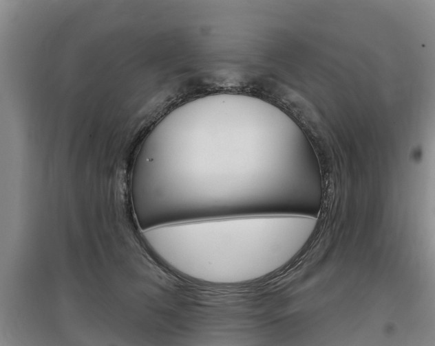 X0000097470612200802220830