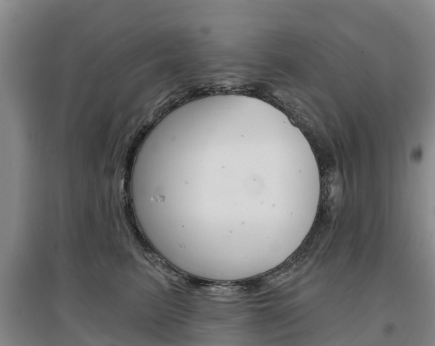 X0000097470615200802220830