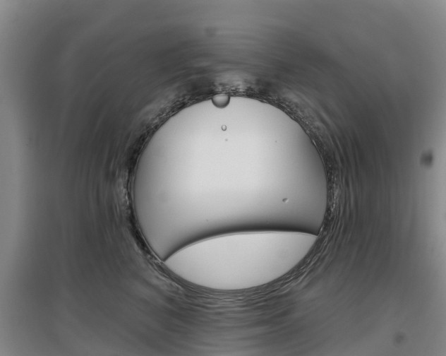 X0000097470616200802220830