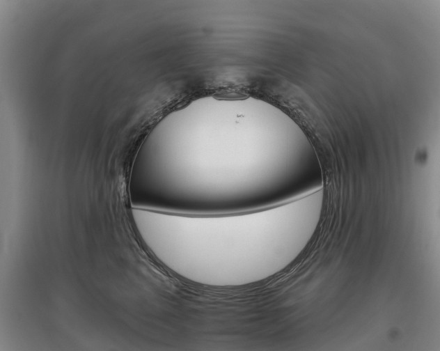 X0000097470617200802220830