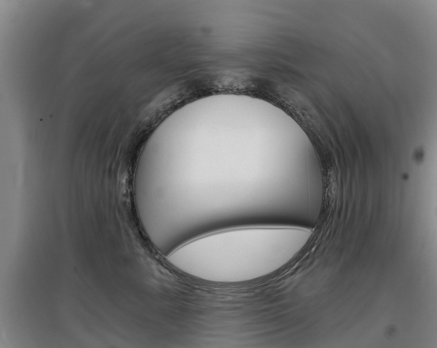 X0000097470619200802220830