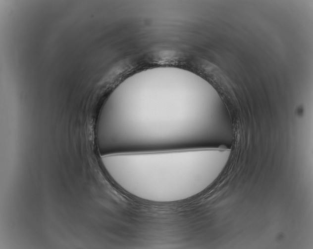 X0000097470620200802220830