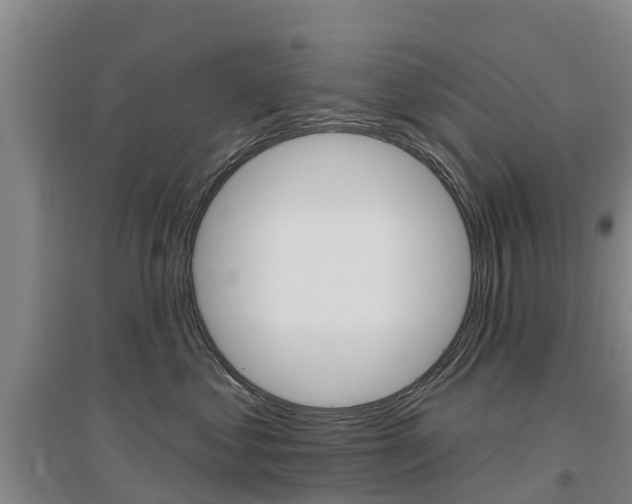 X0000097470621200802220830