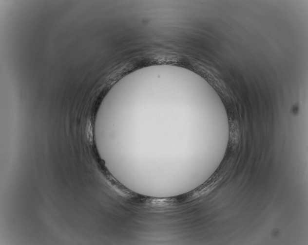 X0000097470622200802220830