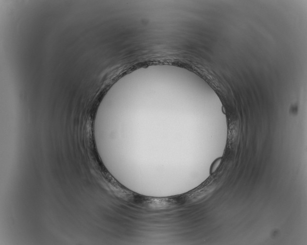 X0000097470623200802220830