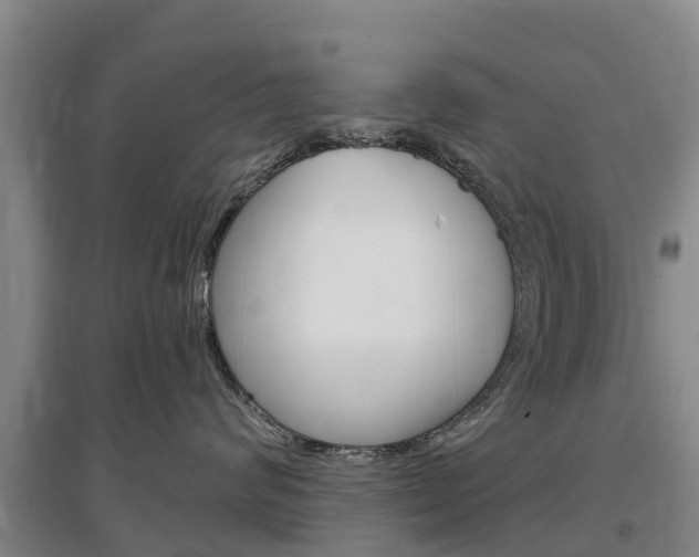 X0000097470624200802220830