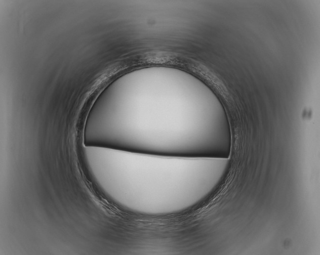 X0000097470626200802220830