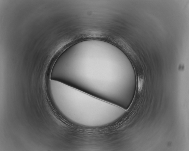X0000097470627200802220830