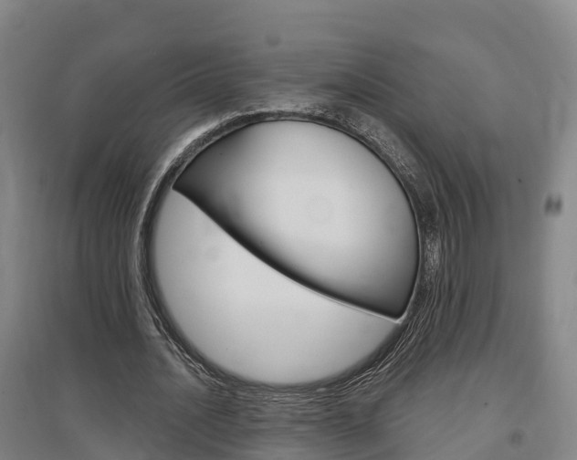 X0000097470628200802220830