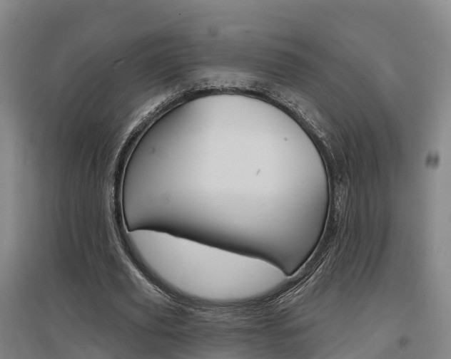 X0000097470629200802220830