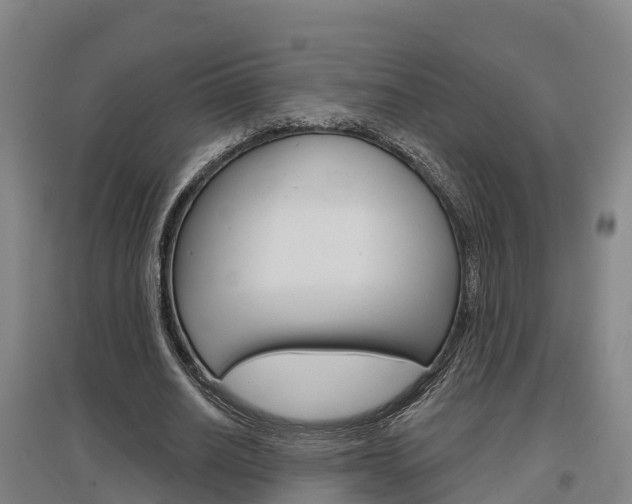 X0000097470630200802220830