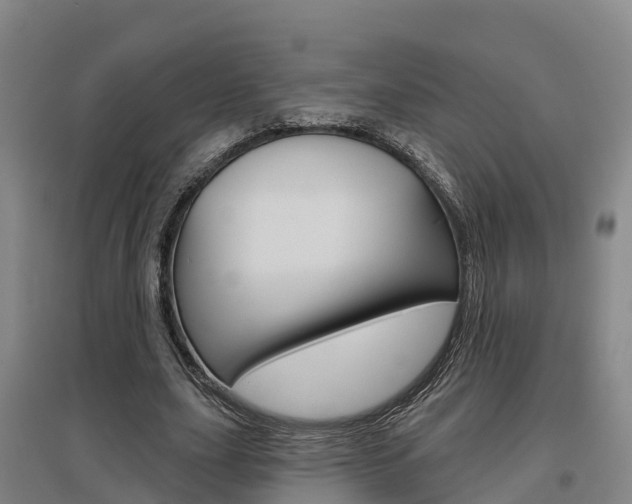 X0000097470631200802220830
