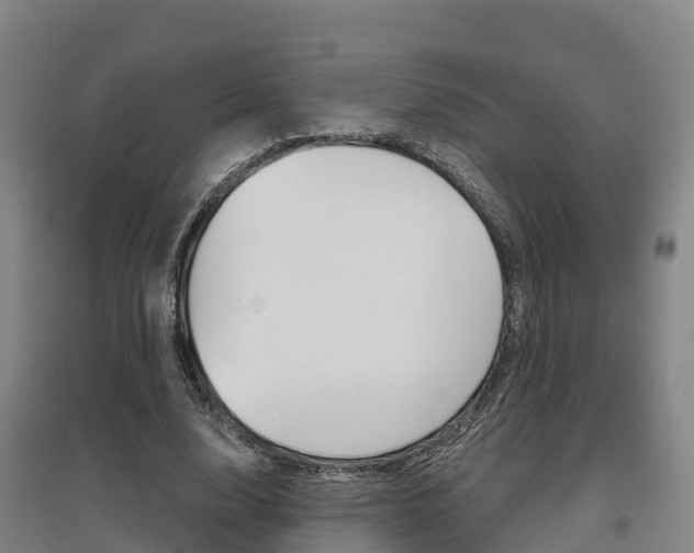 X0000097470632200802220830
