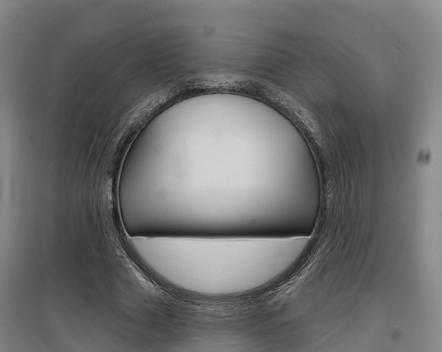X0000097470633200802220830